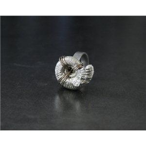 RING AMONITE