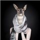 SCARF (4SONGEPOUDRE)